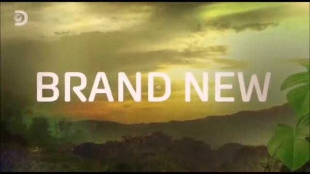 Discovery Channel Europe   Continuity 14 July 2022