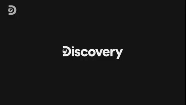 Фрагмент эфира Телеканала  Discovery channel  от 25 12 2022