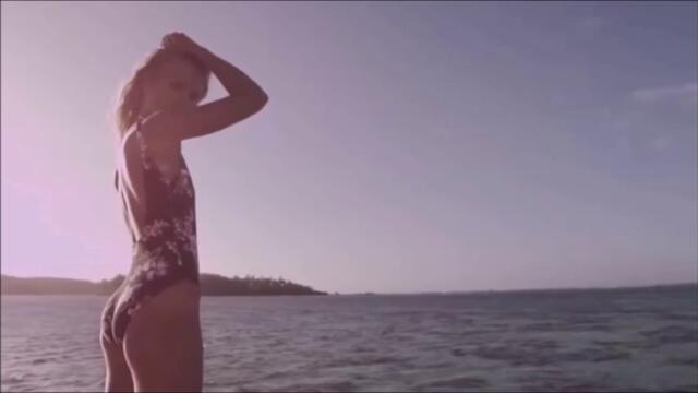 Aylex - Freshness 2025