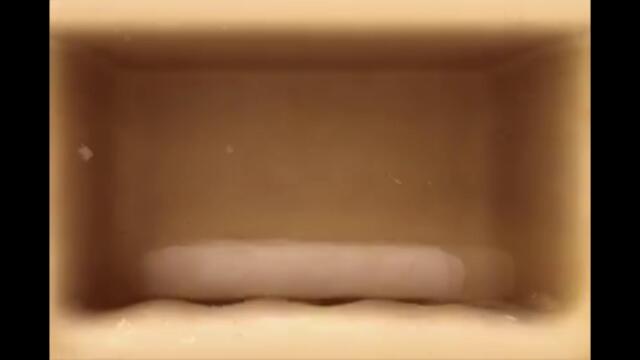 Nicktoons Soap Paradox