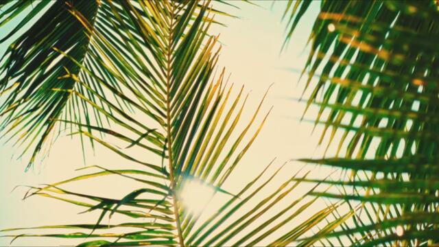 IVAYLA ft. ADAM - MRYSNA JEGA _ ИВАЙЛА ft. АДАМ - МРЪСНА ЖЕГА _ OFFICIAL 4K VIDEO, 2025