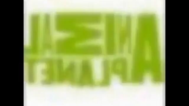 videoplayback 17