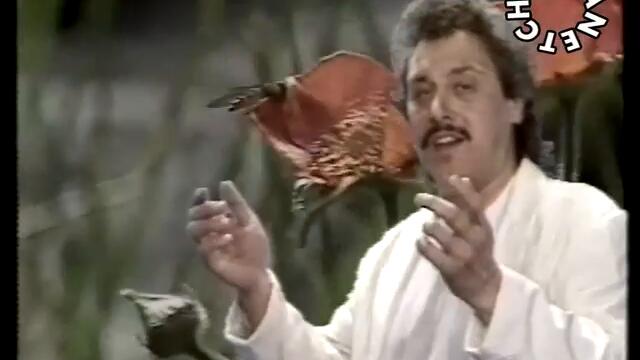 Георги Гьолски - Цветелина - By Planetcho