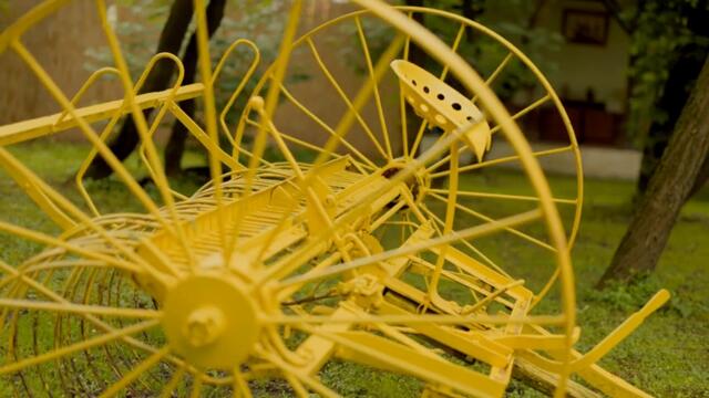 DIANA MIHAJLOVIĆ - TREŠNJA ｜ OFFICIAL VIDEO 2025