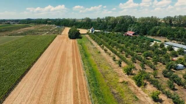 Dragana Majkic - Tvoja ili nicija (Official Audio 2025)