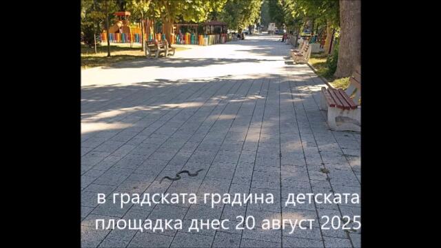 Змия къде и кога пак ли нечия игра