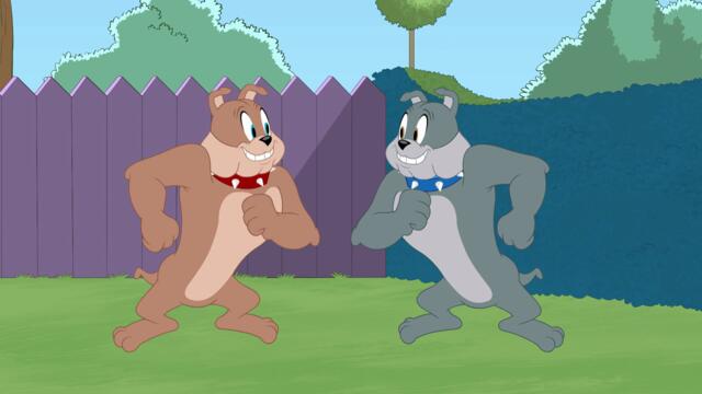 Шоуто на Том и Джери - Сезон 4 Епизод 43 (О, братко) (БГ Аудио) / Tom and Jerry Show - S4E43 (BG Audio)