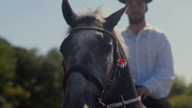 Frano Pehar & Tarapana - Slatki snovi ( official video )
