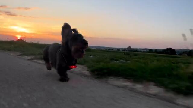 Среднощен Ездач Интро (Кучешка Версия)