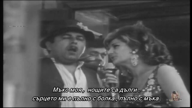 Silvana Armenulic - Ja nemam prava nikoga da volim / bg sub /