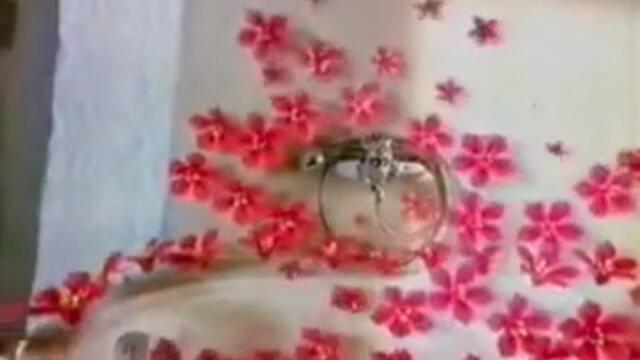 domestos_pink_fresh_pink_flowers_5sec (240p)