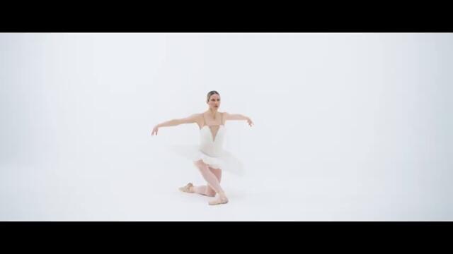 FILIP MITROVIĆ - ĐUBRE (Official Video ⧸ Album 33)