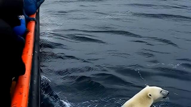 Спасителна операция в Арктика