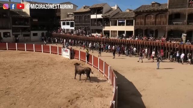 Свободна корида