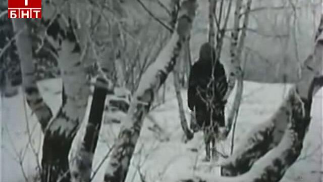 Иван Цачев (1973) - Лора