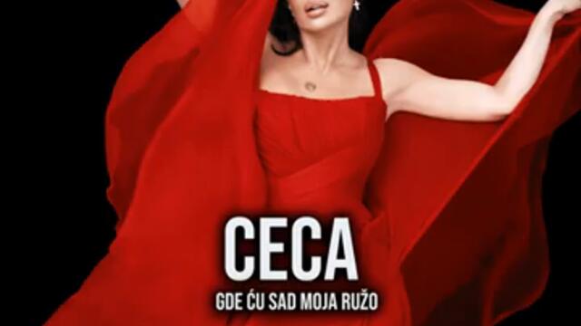 CECA RAZNATOVIC - Gde cu sad, moja ruzo