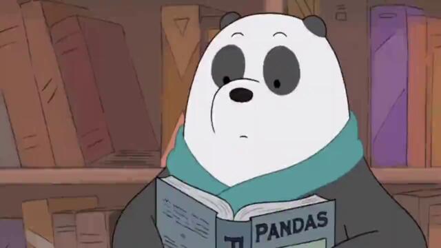 Ние Мечоците "Хибернация" Сезон 1 Епизод 25 Бг Аудио