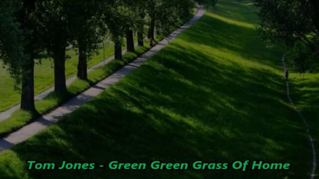 Tom Jones - Green Green Grass Of Home - BG субтитри
