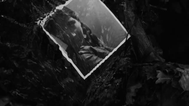 NERMIN PUŠKAR - Ljubavi hvala