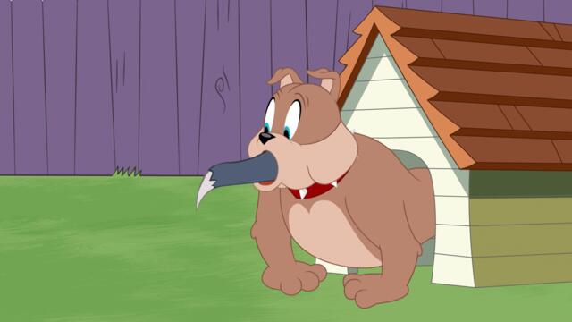 Шоуто на Том и Джери - Сезон 5 Епизод 30 (Разделение на територията) (БГ Аудио) / Tom and Jerry Show - S5E30 (BG Audio)