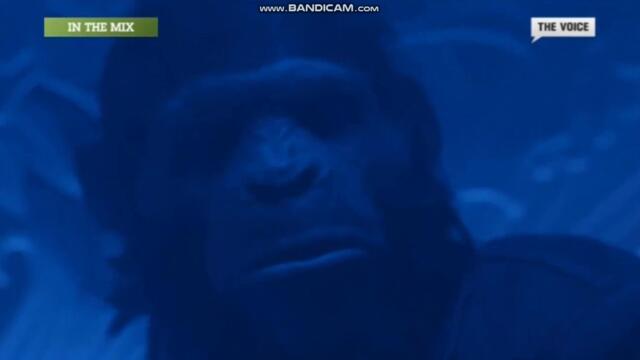 The Voice In The Mix (20.02.2016)