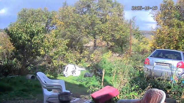 грабеж 7  клипчета (7)