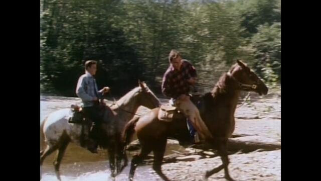 Опасният залив - 1984