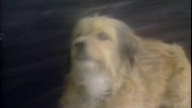 Бенджи, Закс и Звездният принц - 1983