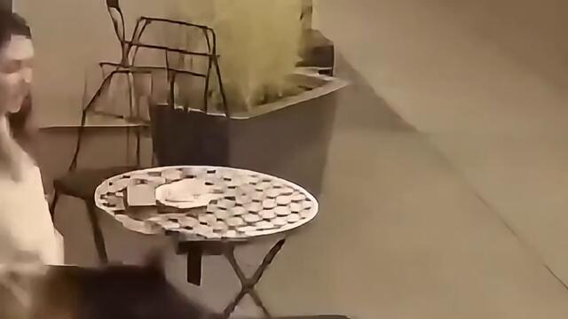 Ето как животните показват понякога привързваноста си.