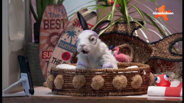 Тъндърмен Под Прикритие - Сезон 1 Епизод 19 БГ Аудио (TV Rip Nickelodeon) / The Thundermans: Undercover - S1E19 (BG Audio)