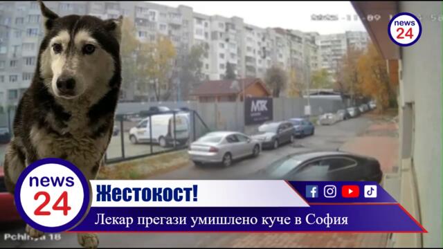 Д-р Ненад Цоневски от ВМА уби жестоко животно прегазено с колата му в ж.к. „Разсадника“ в София