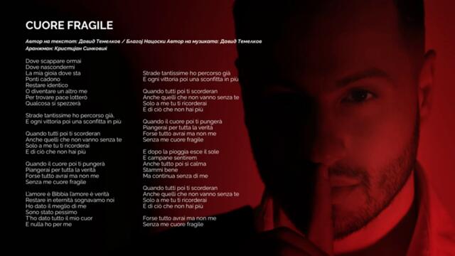 DAVID TEMELKOV - Cuore fragile (Official Audio)