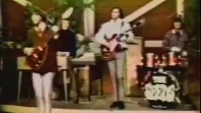 The Seeds (1967) - Pushin Too Hard