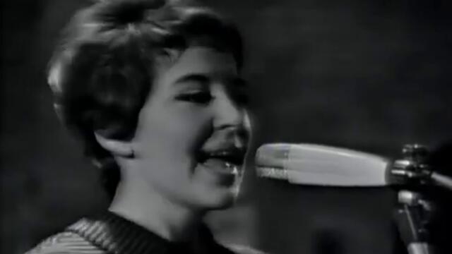 The Birds And Bees (1966) - Shout