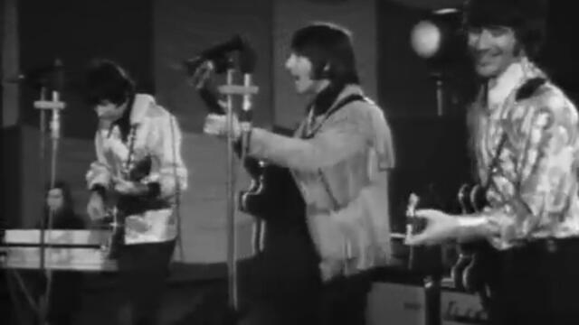 The Tremeloes (1967) - Here Comes My Baby