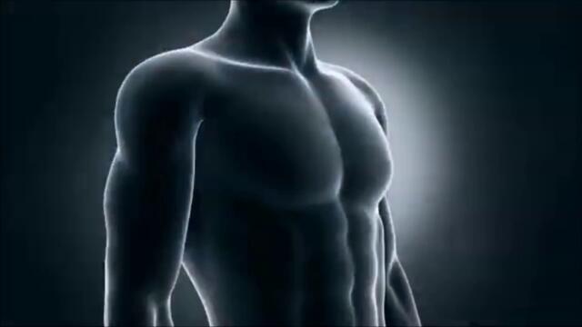 Pink Floyd - Pigs (Three Different Ones) - BG субтитри