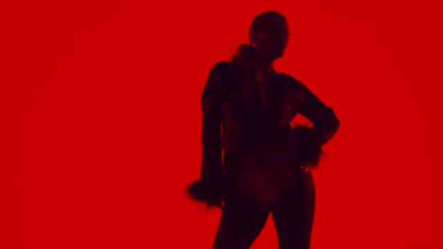 IVANA MILOJEVIC - ZATRESLA SE GORA RODIO SE MIS (OFFICIAL VIDEO)