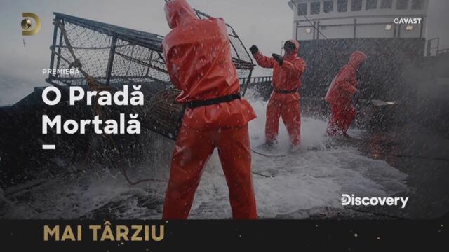 Discovery_Romania_-_40th_anniversary_idents_and_graphics_(2025)