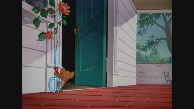 Влюбеният Котарак  (1952) Full Movie