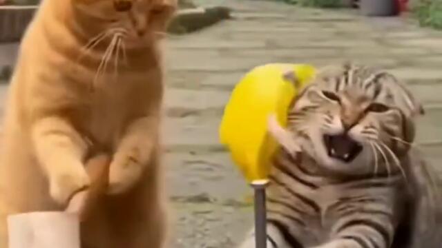 строителен обект