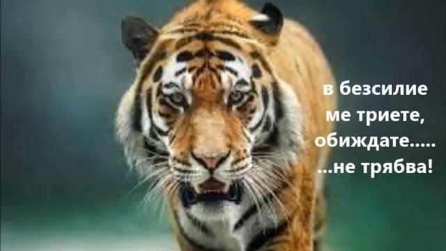 sekirata веднъж казва