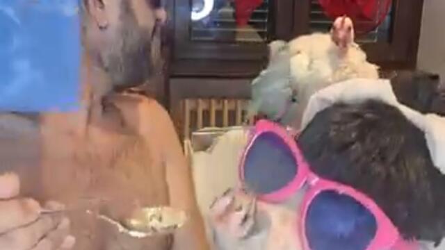 Born to be alive with the pig