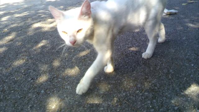 Ден    неделя   🧶