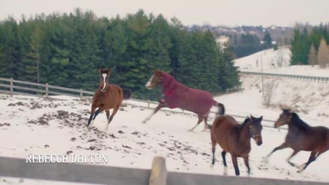 Коледно родео Rodeo Christmas Romance   (2025)  Бг Аудио Част 1