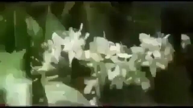 videoplayback 8