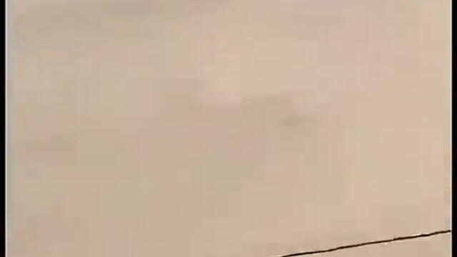 Ама че тъпа котка,ще припадна от смях......