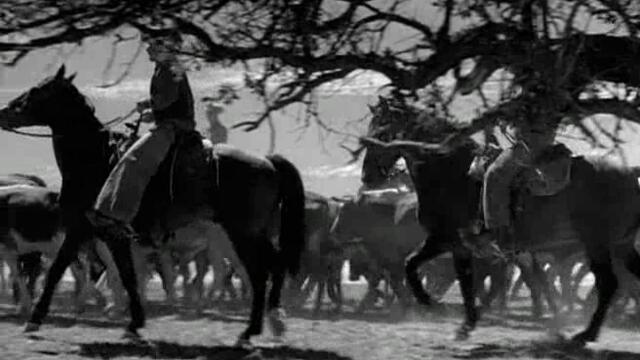 Сурова кожа (Rawhide) S02 E05