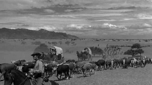 Сурова кожа (Rawhide) S02 E06