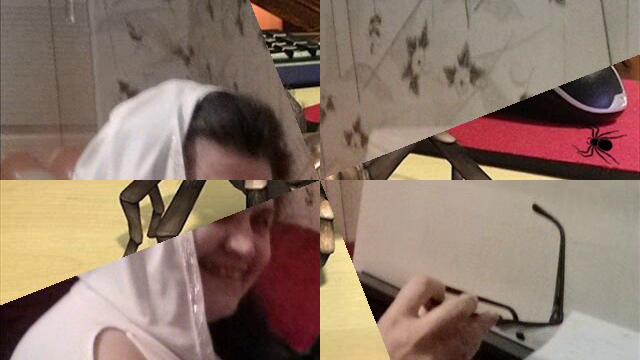 Паяци разни