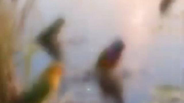 videoplayback 47